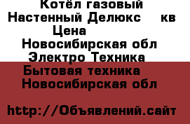 Котёл газовый Настенный Делюкс 24 кв › Цена ­ 35 000 - Новосибирская обл. Электро-Техника » Бытовая техника   . Новосибирская обл.